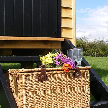 Marshwood Farm B&B And Shepherds Hut Dinton  Dış mekan fotoğraf