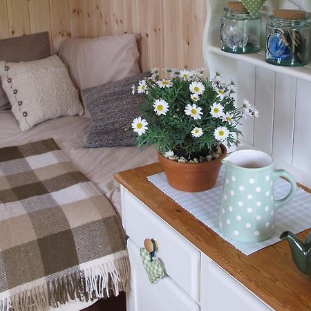 Marshwood Farm B&B And Shepherds Hut Dinton  Dış mekan fotoğraf