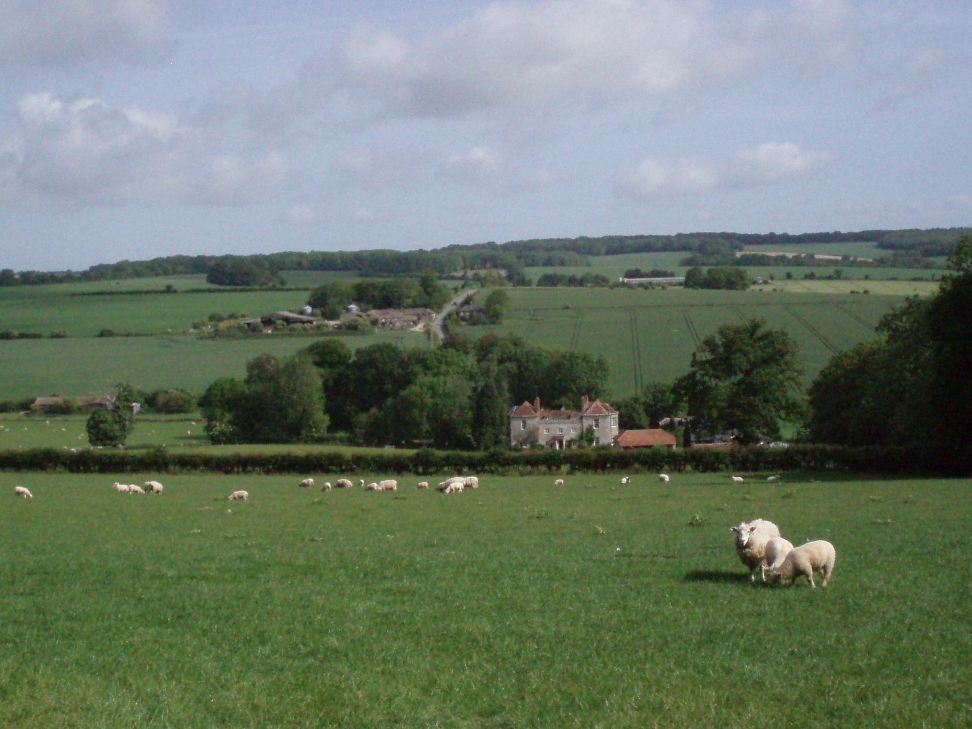 Marshwood Farm B&B And Shepherds Hut Dinton  Dış mekan fotoğraf